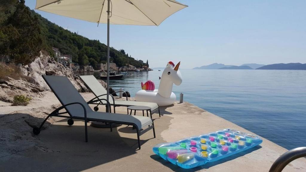 Holiday Home Odiseja Slano Zewnętrze zdjęcie