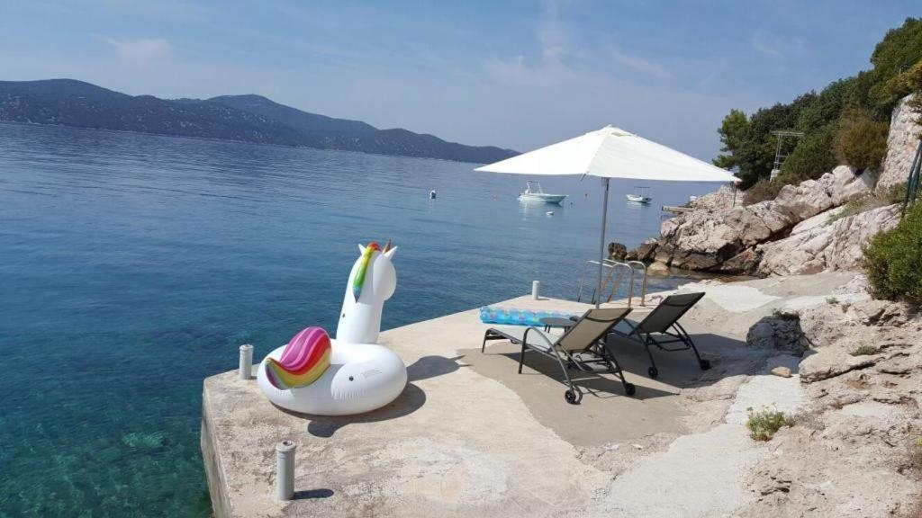 Holiday Home Odiseja Slano Zewnętrze zdjęcie